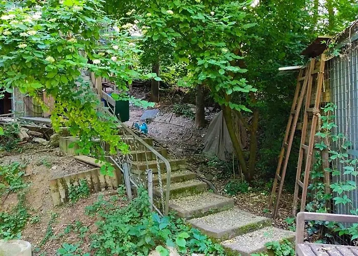 別荘 Trailer - Dschungel Küps