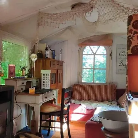 Trailer - Dschungel Kups