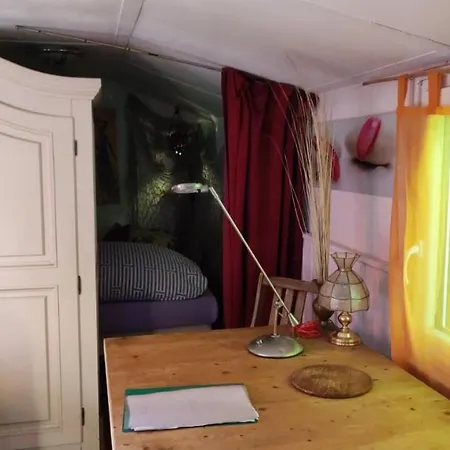 Trailer - Dschungel Küps